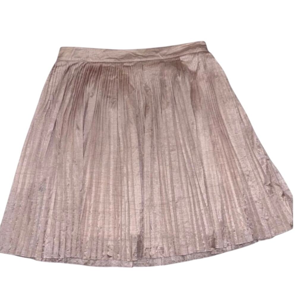 Club Monaco Blush Metallic Pleated Skirt Sz 10 Balletcore Quiet Luxury Coquette - Picture 7 of 10